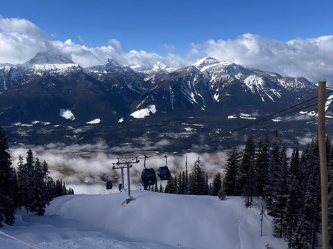 Natural Selection: The Contest That Killed the Scorecard