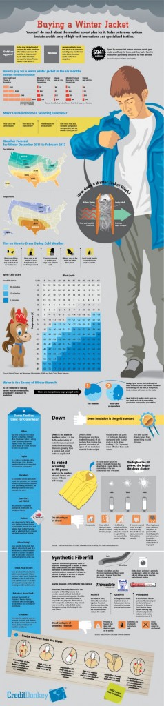 Infographic.Winter.Jacket.Buying.Guide.Evolve.png